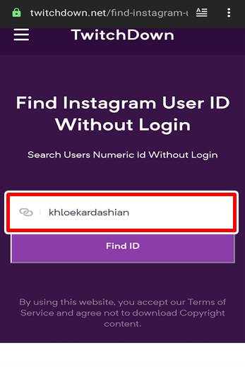 Find Instagram User ID Online Step 2