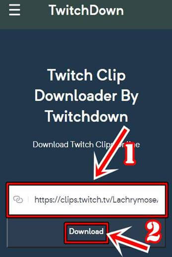 Twitch Clip Downloader Step 3